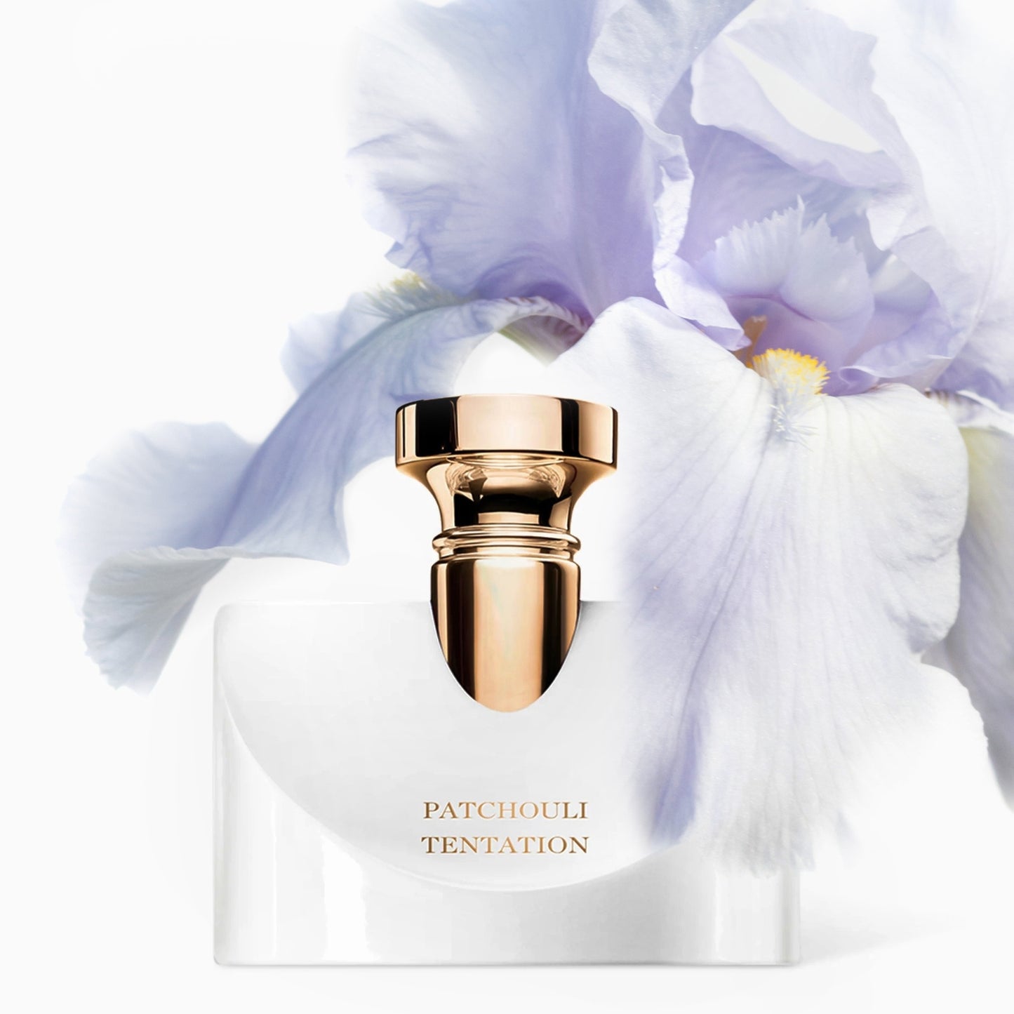 Bvlgari Splendida Patchouli Tentation Decants/Samples