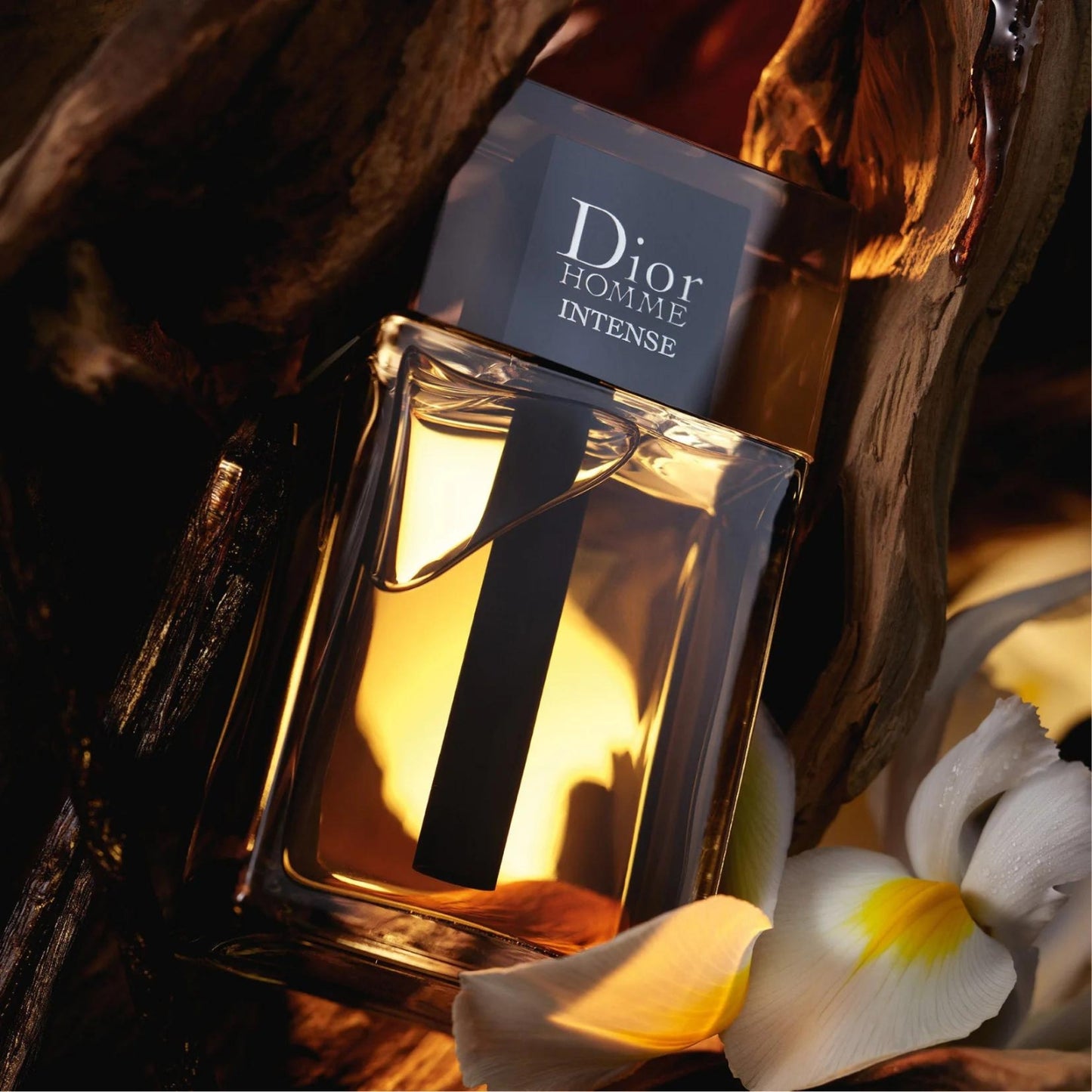 Dior Homme Intense Decants/Samples