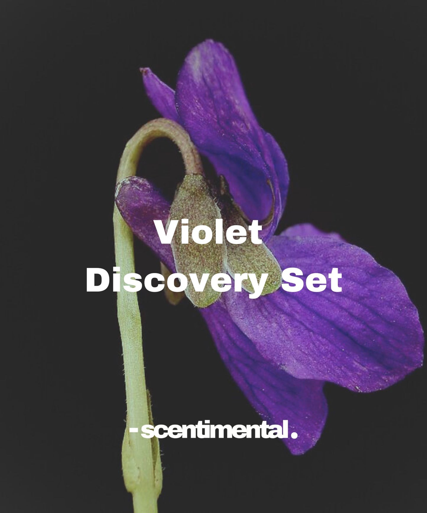 Violet Fragrance Sample Set